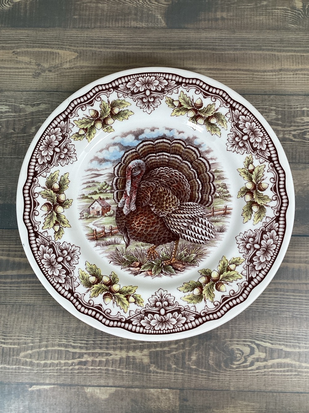 Royal Stafford 11” Thanksgiving Turkey Dinner Plate Made in England EUC